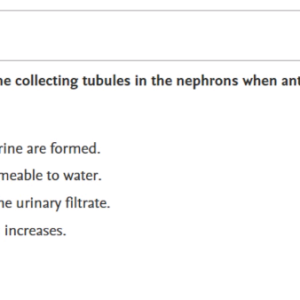 HESI A2_Chamberlain Anatomy Section